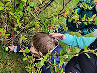 Cliquez sur l'image ... Cliquez sur l'image ...